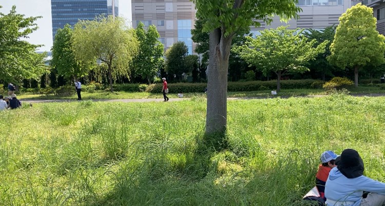 机周り、カーテンを通して夕焼け